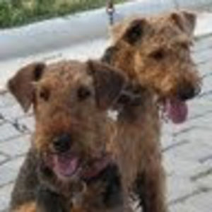 Meet your Posher, Pamela